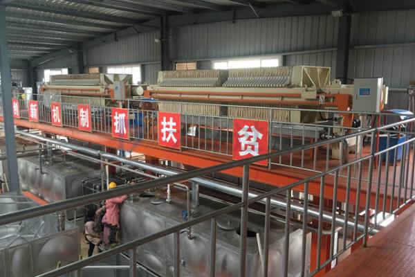 Pharmaceutical Industry